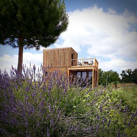 Manege De La Chapiniere - Dadaloge Tiny-House Villa Chateauvieux  Bagian luar foto