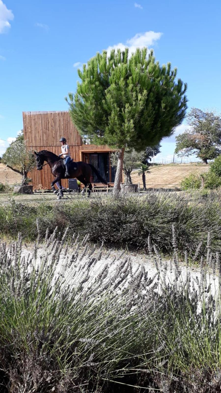 Manege De La Chapiniere - Dadaloge Tiny-House Villa Chateauvieux  Bagian luar foto