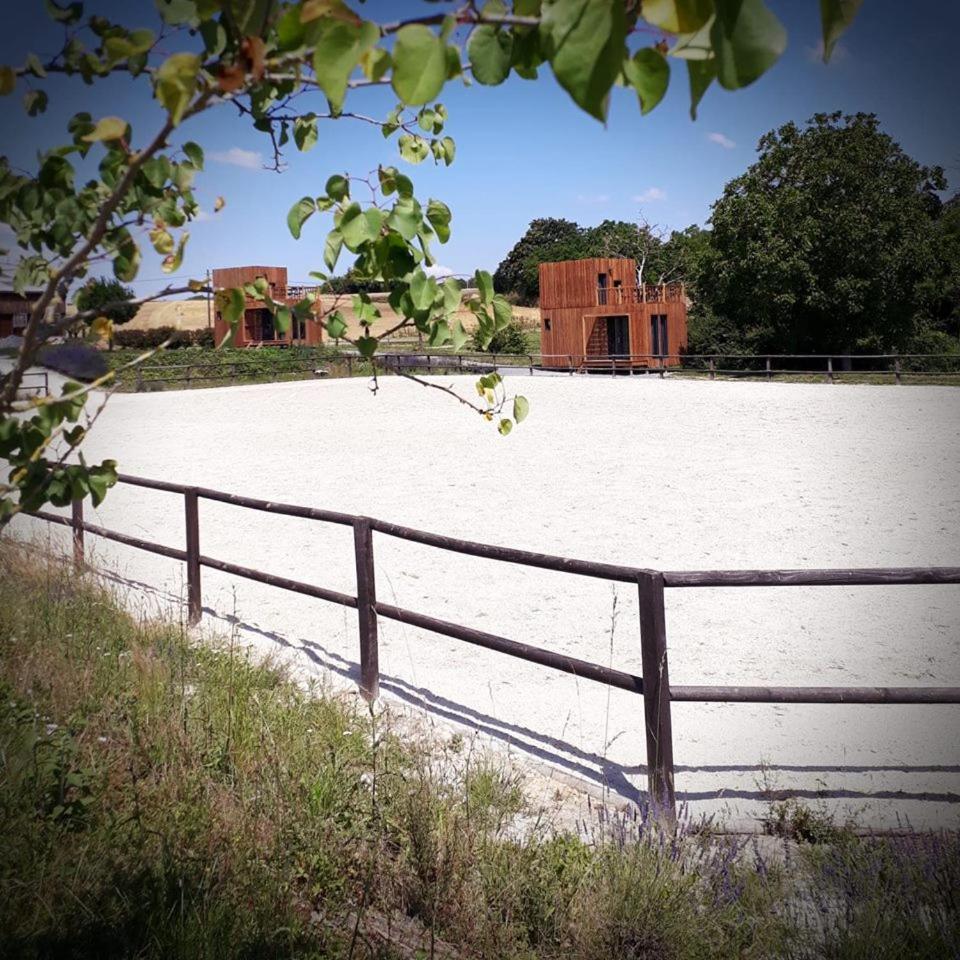 Manege De La Chapiniere - Dadaloge Tiny-House Villa Chateauvieux  Bagian luar foto