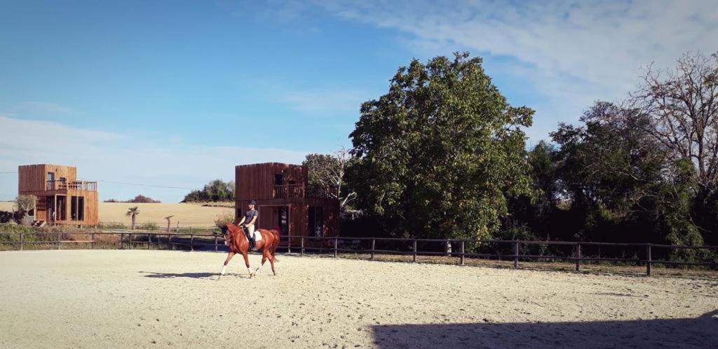 Manege De La Chapiniere - Dadaloge Tiny-House Villa Chateauvieux  Bagian luar foto