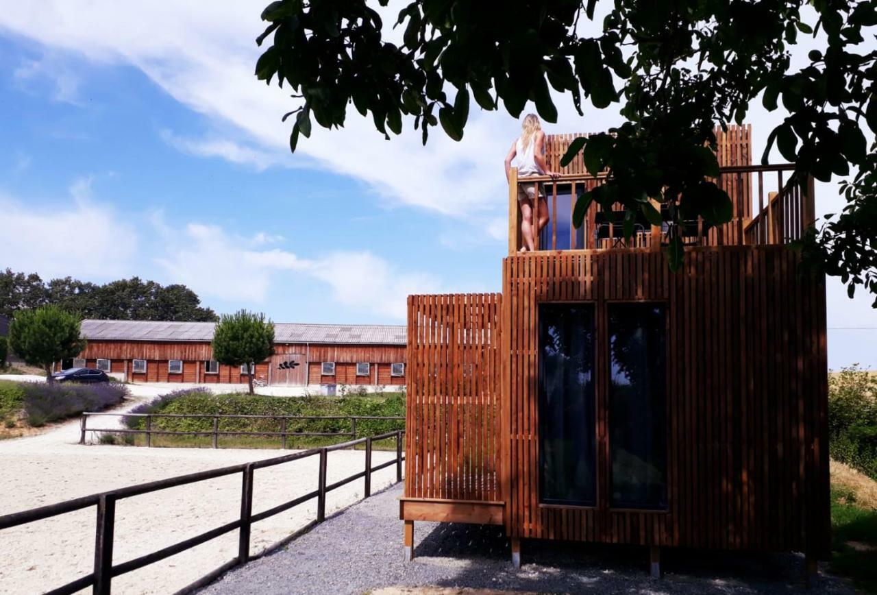 Manege De La Chapiniere - Dadaloge Tiny-House Villa Chateauvieux  Bagian luar foto