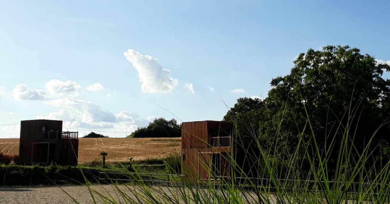 Manege De La Chapiniere - Dadaloge Tiny-House Villa Chateauvieux  Bagian luar foto